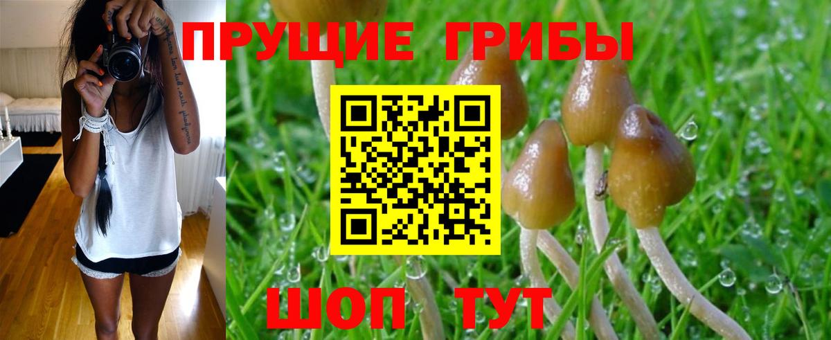 Галлюциногенные грибы мицелий  Галлюциногенные грибы Cubensis  Вход с VPN  Касимов 